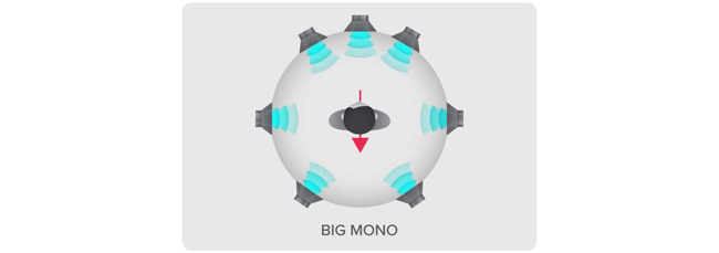 Big Mono_1-2